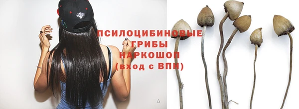 мяу мяу мука Абаза